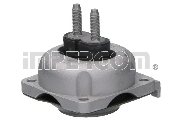 Mounting, engine